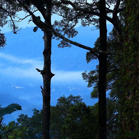 Madhumanthra Resort - Homestay Munnar Exteriér fotografie