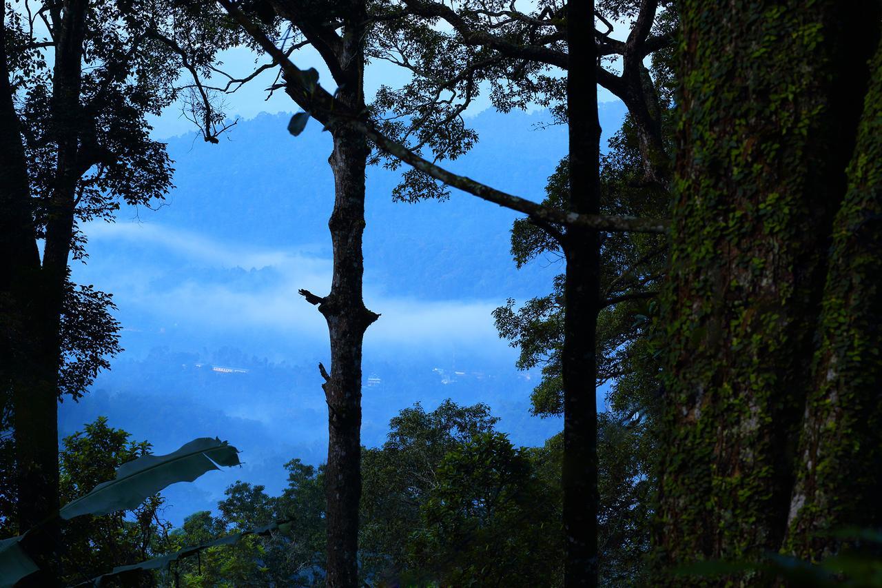Madhumanthra Resort - Homestay Munnar Exteriér fotografie