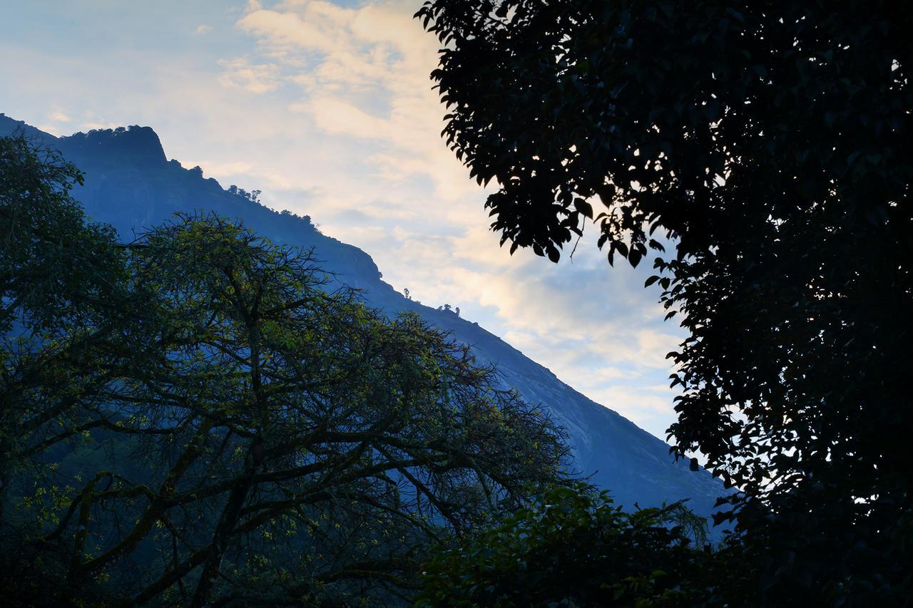 Madhumanthra Resort - Homestay Munnar Exteriér fotografie