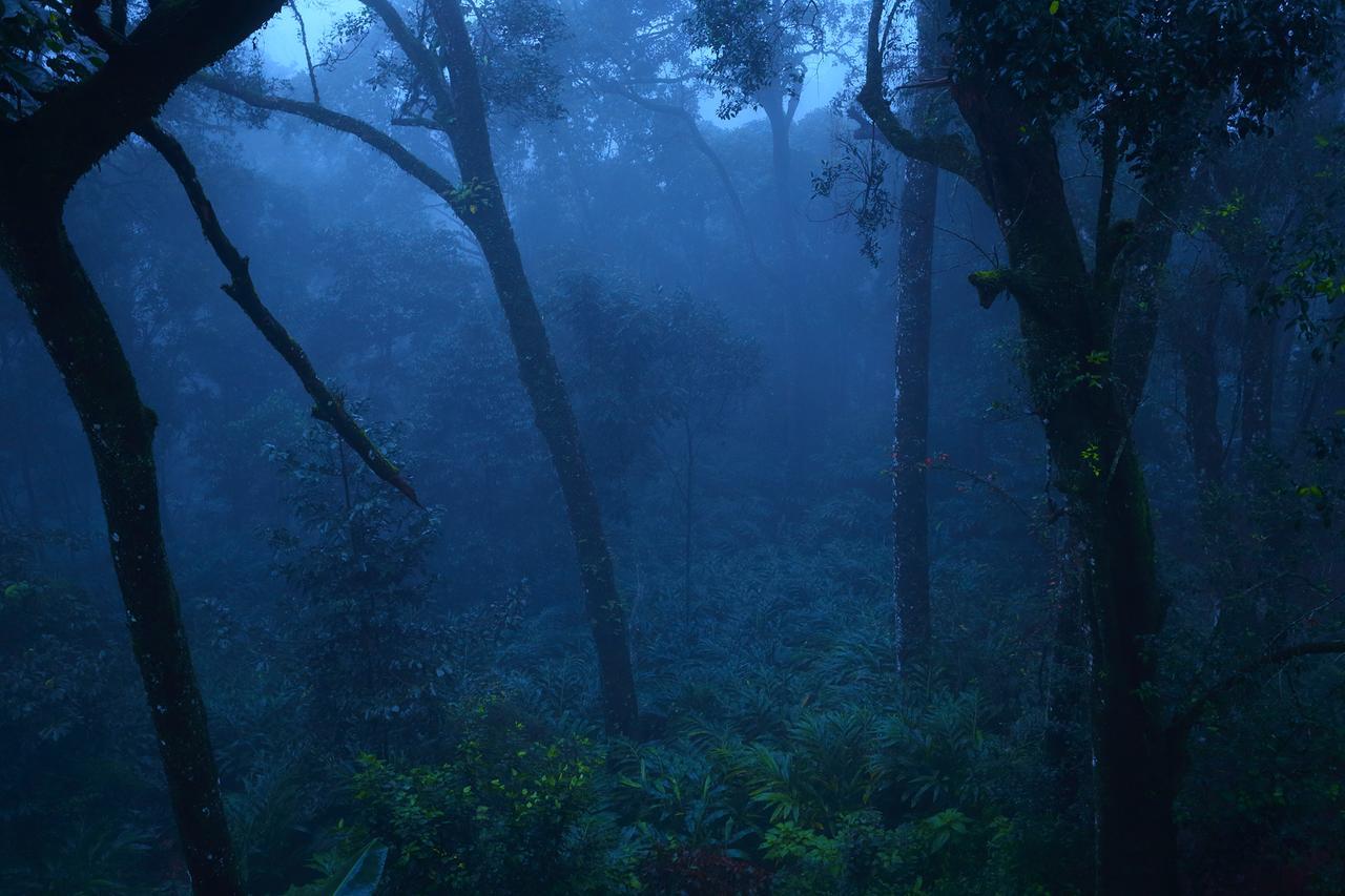 Madhumanthra Resort - Homestay Munnar Exteriér fotografie
